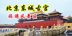 操亚洲BB中国北京-东城古宫旅游风景区